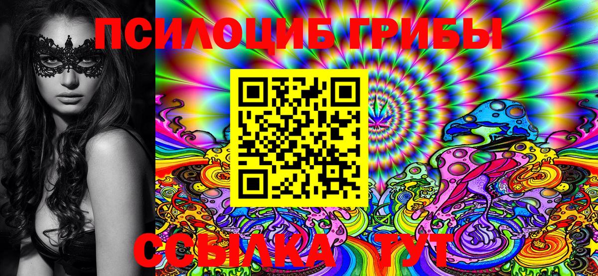 Галлюциногенные грибы Psilocybine cubensis Тверь